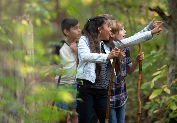 istock Kids spot something exciting in the forest 1262816882