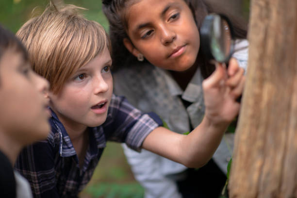 istock Kids using a magnifying glass to inspect a tree 1262816897