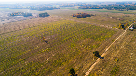 Cleaned agricultural fields in autumn. Belarus, Eastern Europe.