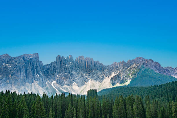 lac carezza un lac alpin entouré de haute forêt de pins dans les dolomites avec le fond de vue de chaîne de montagne de rosengarten dans le tyrol du sud, italie - latemar mountain range photos et images de collection