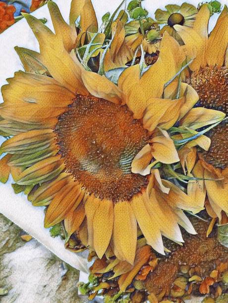 istock Bouquet of sunshine 1262820227