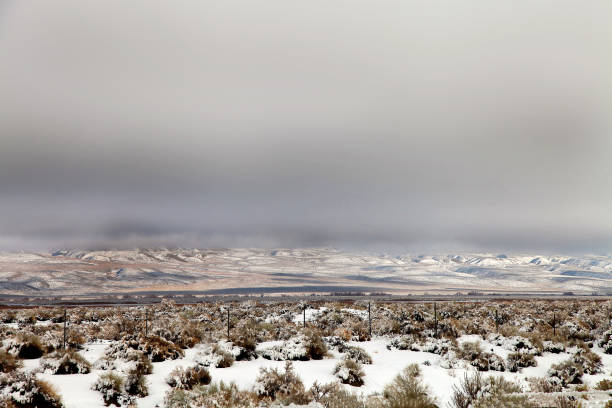 Dry grasslands and white snow on a sunny winter day