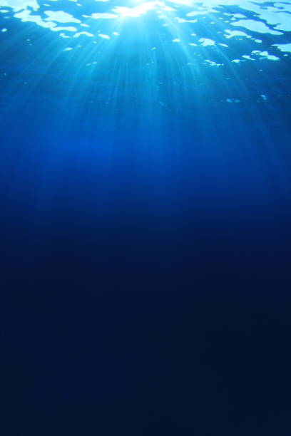 istock Underwater background photo 1262822798