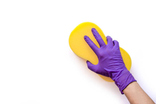 Closeup hand with glove Closeup hand with glove holding yellow sponge for cleaning isolated on white background with clipping path. rubbing photos stock pictures, royalty-free photos & images