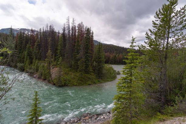 istock Jasper National ParkStock Photo 1262825493