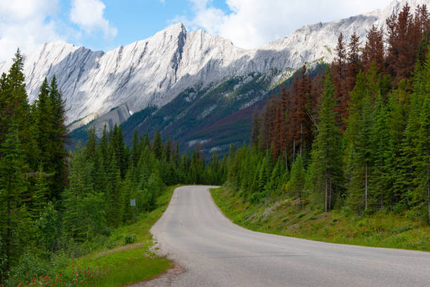 istock Jasper National ParkStock Photo 1262825529