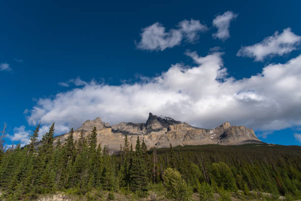 istock Jasper National ParkStock Photo 1262825534