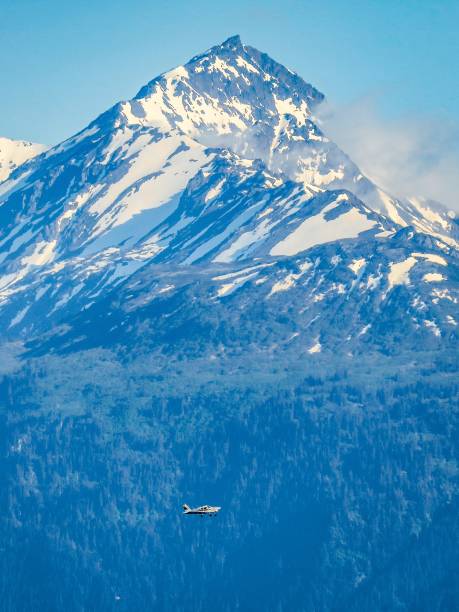 istock Bush Plane and Alaskan Peak 1262827037