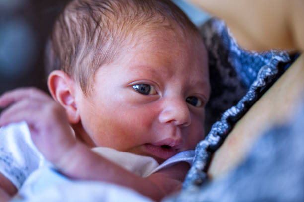 un bebé recién nacido descansa en el pecho de su madre y mira a la cámara - enzo fotografías e imágenes de stock