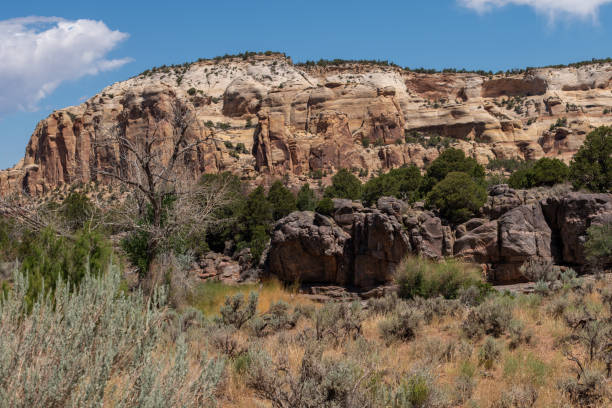 istock Butte in the High Desert 1262828816