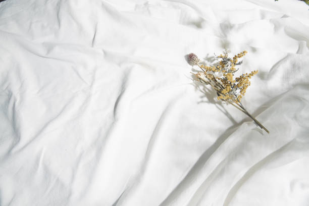 istock white cloth reflecting natural light and shadows of leaves 1262829646