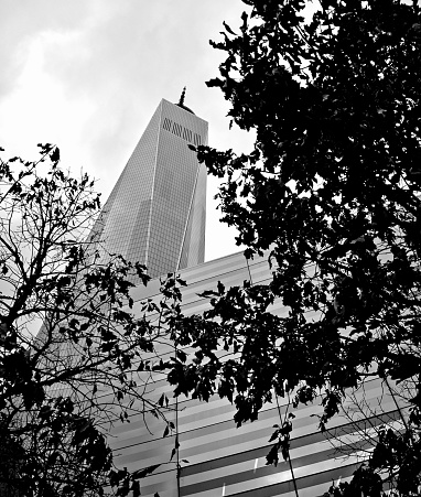 NYC Ground Zero area buildings Black and white