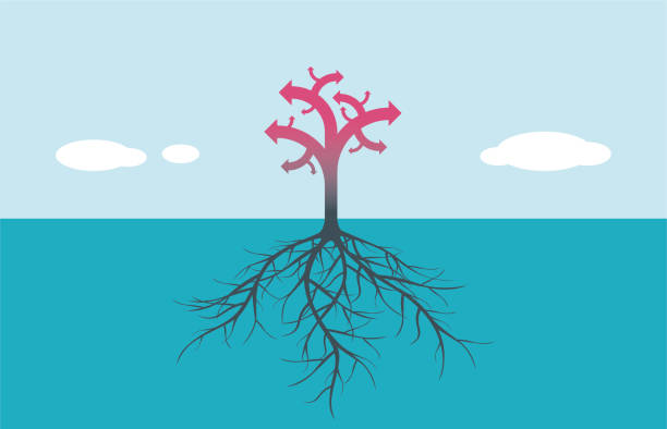 illustrations, cliparts, dessins animés et icônes de arbre - root origins growth plant