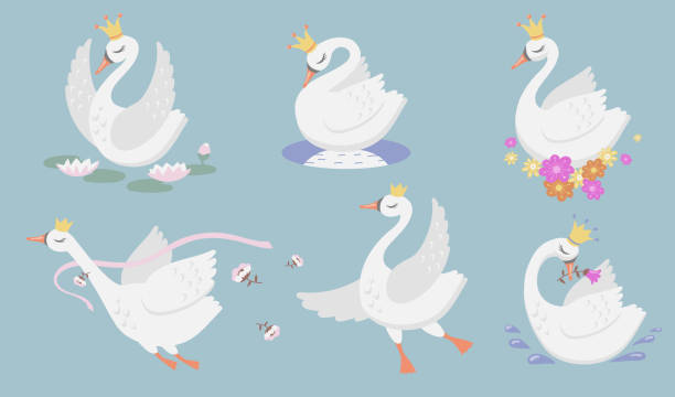 ilustrações de stock, clip art, desenhos animados e ícones de cute princess swan flat icon set - swan princess cartoon crown