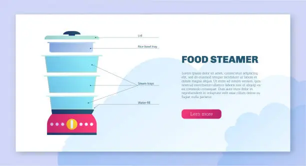 Vector illustration of Domestic food steamer web banner
