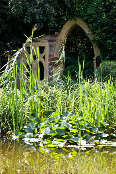 istock Garden pond with decoration and plants 1262837970