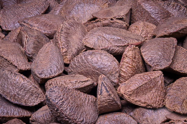 istock Paranuts from Brazil vegetarian food as background. 1262842319