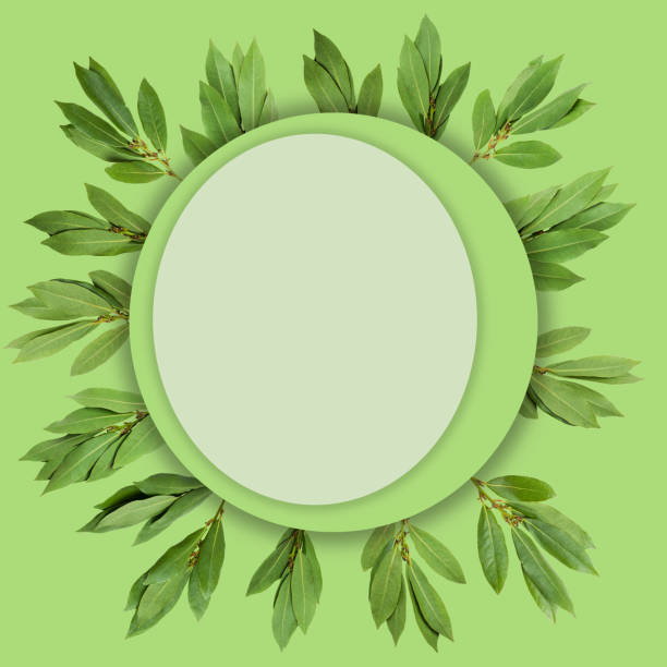 istock Creative layout of laurel leaves with a note card. 1262843508