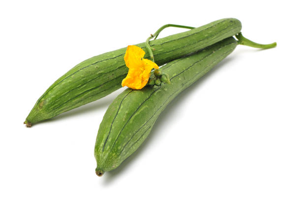 fresh loofah fresh loofah on the white background slate ridge stock pictures, royalty-free photos & images