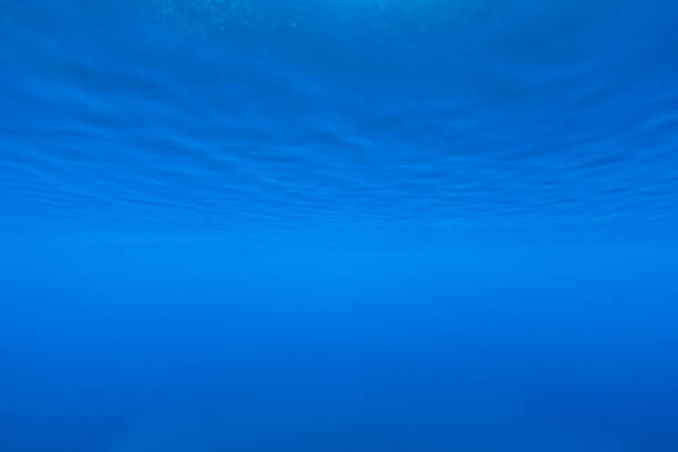 istock Underwater of tropical, sun rays passing through water. 1262847792