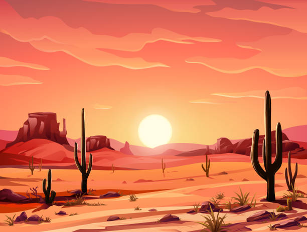 Beautiful Desert Sunset Vector illustration of an idyllic desert landscape with Saguaro cactus at sunset. In the background are hills and mountains, and a bright, vibrant red sky. Illustration with space for text. desert area stock illustrations