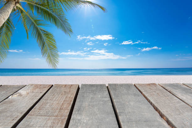 istock tropical sea in summer. 1262854848
