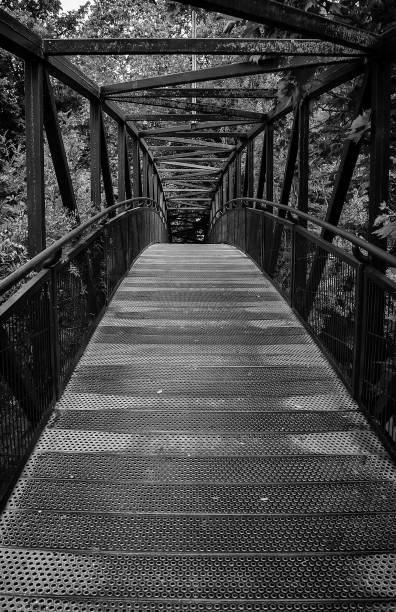 istock Metal walkway in a forest 1262858153