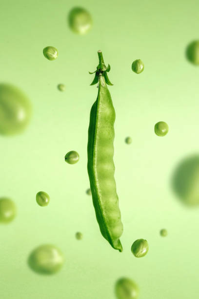 pod von grünen erbsen auf grünem hintergrund in der schwerelosigkeit monochrom minimalismus - green pea pea pod sweet food freshness stock-fotos und bilder