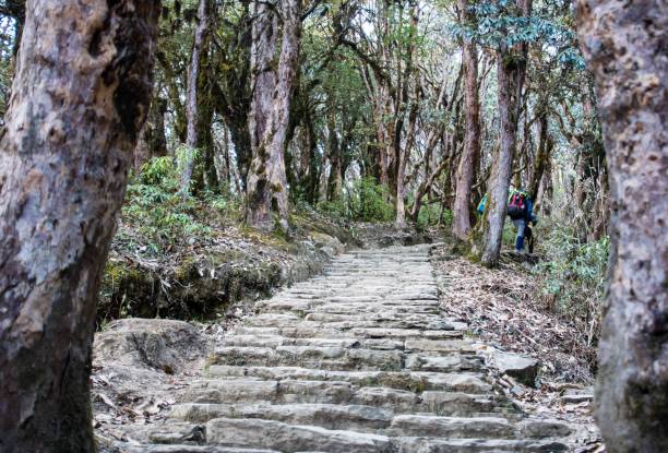 istock Hiking trail Stairs 1262860869