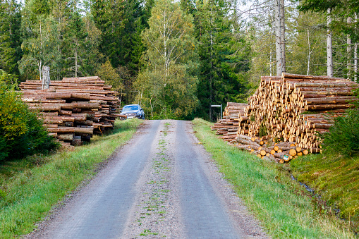 Falköping, Sweden - September 19, 2016: Timber storage by the road in the woods