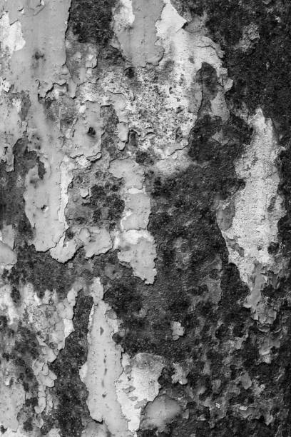 istock black and white texture of rusty steel plate 1262862109