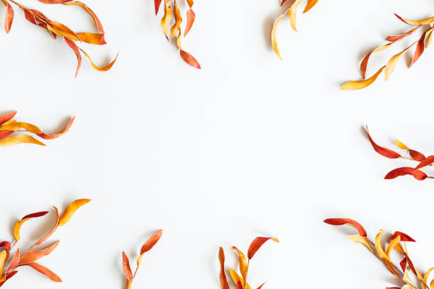 istock Autumn composition. Red leaves on white background. Autumn, fall, thanksgiving day concept. Flat lay, top view 1262869363