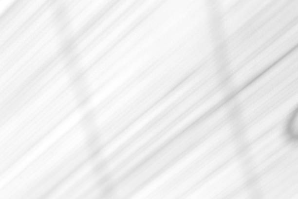 istock Shadow overlay effect for photo. Shadows from blinds, a window and a thin screen on a clean white wall in a sunny bright weather. 1262873036