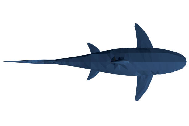 Shark Overhead Vector 60+ Shark Above Water Stock Illustrations, Royalty-Free Vector Graphics ...