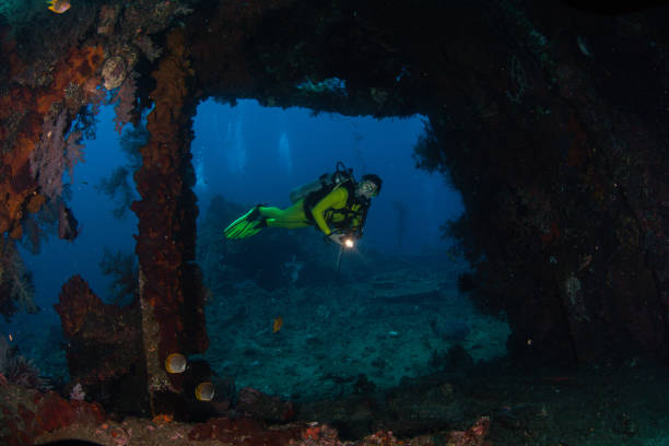istock Underwater Scuba diver explore and enjoy Coral reef Sea life 1262886533