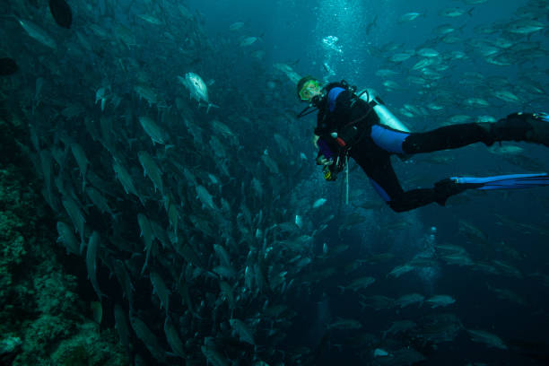 istock Underwater Scuba diver explore and enjoy Coral reef Sea life 1262887199