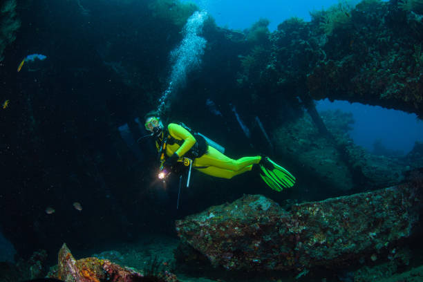 istock Underwater Scuba diver explore and enjoy Coral reef Sea life 1262887569