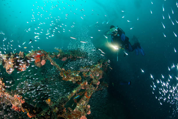 istock Underwater Scuba diver explore and enjoy Coral reef Sea life 1262887625