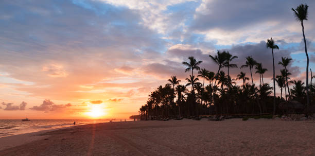 istock Dominican Republic, coastal panoramic landscape 1262888508