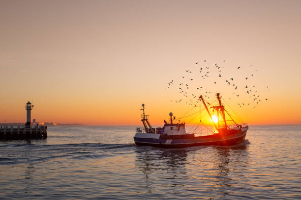 Fishing boat in front of the old wooden pier of Nieuwpoort at sunset stock photo