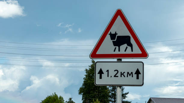 istock road warning sign ahead animals 1262893106
