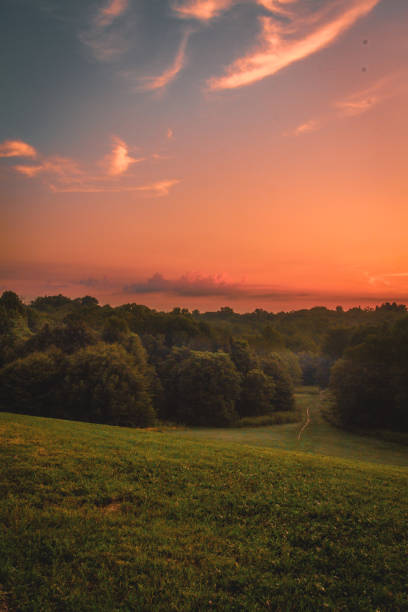 istock Sunrise at Cherokee Park 1262894632