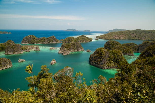 istock Top view of Piaynemo raja ampat Indonesia 1262897080