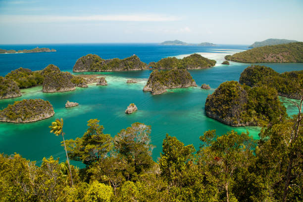 istock Top view of Piaynemo raja ampat Indonesia 1262898428