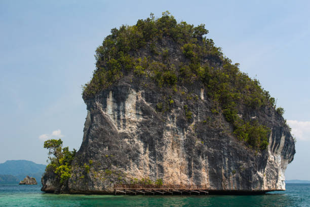 istock Raja Ampat island, Indonesia 1262898912