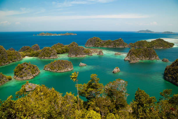 istock Top view of Piaynemo raja ampat Indonesia 1262898992