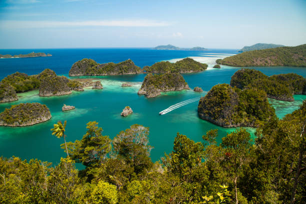 istock Top view of Piaynemo raja ampat Indonesia 1262899088