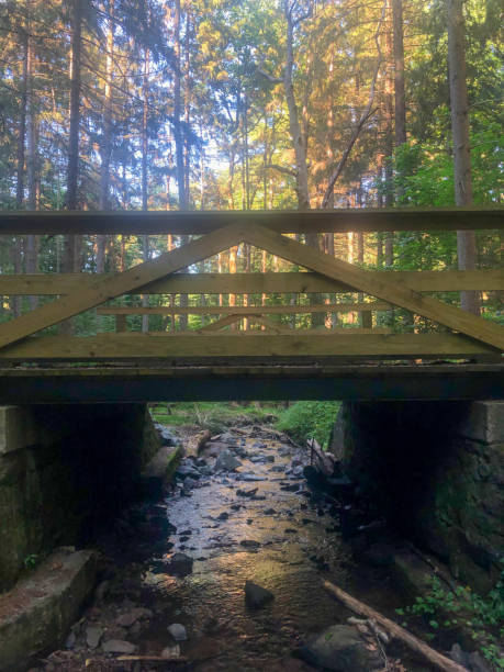 istock Wooden bridge over colorful forest stream 1262900800