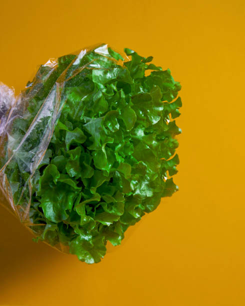 istock Lettuce in cellophane isolated on yellow background 1262901443