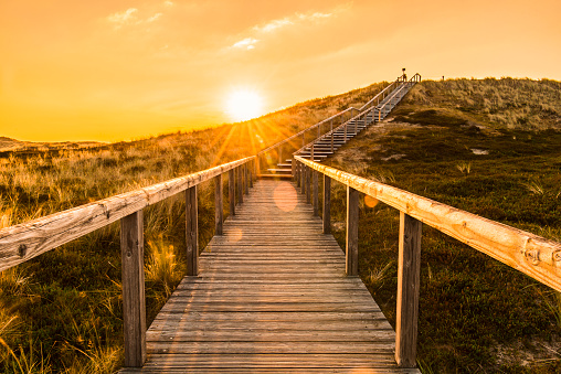 Sylt island sunrise scenery with wooden stairs climbing the sand dune. Wooden deck over the covered in moss dunes. Natural parkland in the North Sea on the german island, Sylt